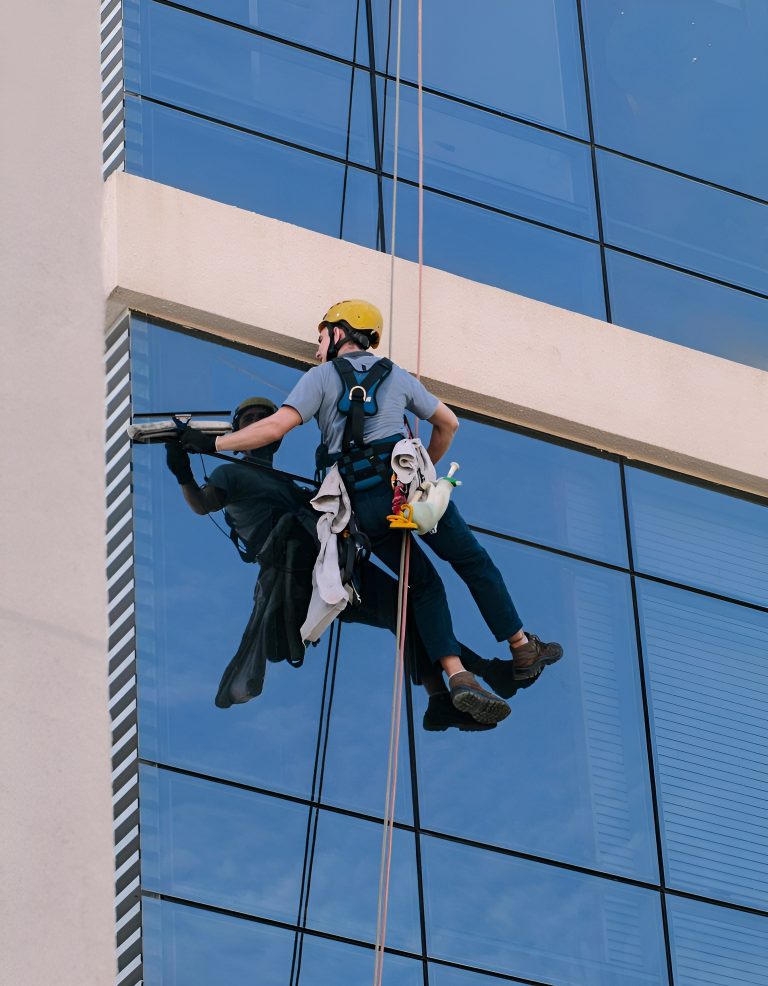 best window cleaner